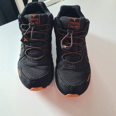 Treksta gore-tex sko str38