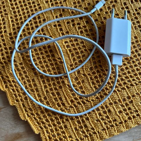 Apple IPhone charger