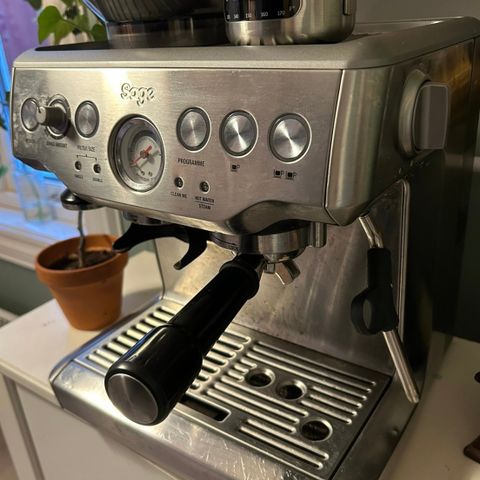 Sage Barista Express -1,5 år gammel