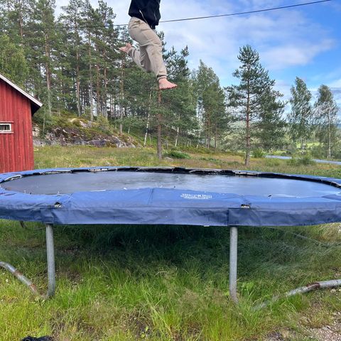 Trampoline oval