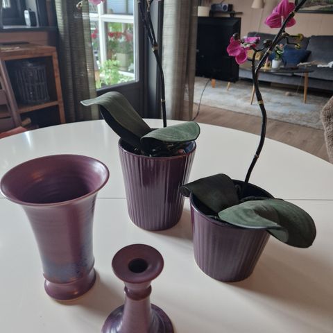 Orkideer, kunstige med potter, vase og lysestake.