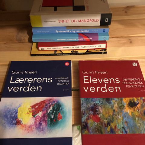 Elevens verden