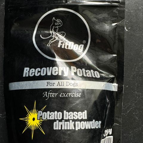 Fitdog recovery