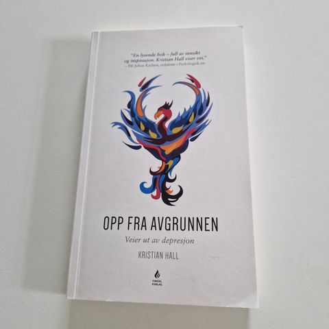 Opp fra avgrunnen