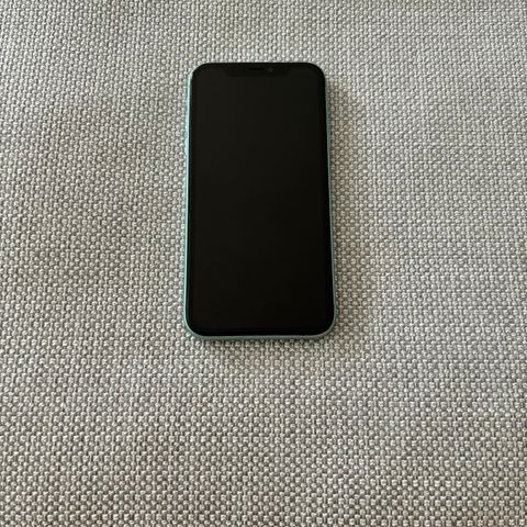 iPhone 11 64 GB Defekt