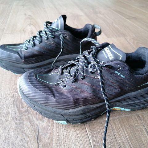 Hoka Speedgoat 4 Gtx 38 2/3