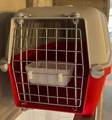 Transportbur til katt