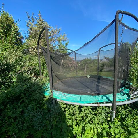 Jumpking Trampoline 4,3M Gis Bort