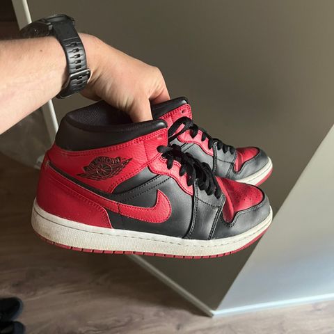 Jordan 1 breds 43