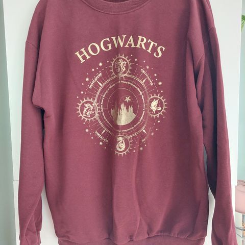 Harry Potter genser str 170