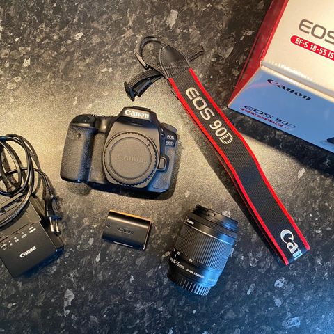 Canon EOS 90D kit (EF-S 18-55 IS STM)