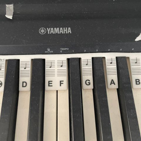 Yamaha digital p-45