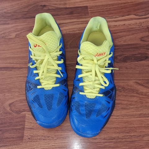 Asics hallsko herre str 42,5