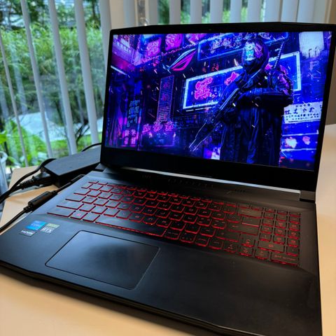 MSI Katana GF66 i7 Gaming Laptop 15,6'' 144Hz RTX3070 i7