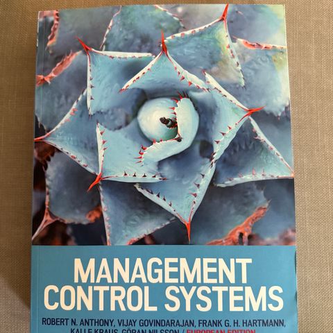 Management Control Systems: European Edition