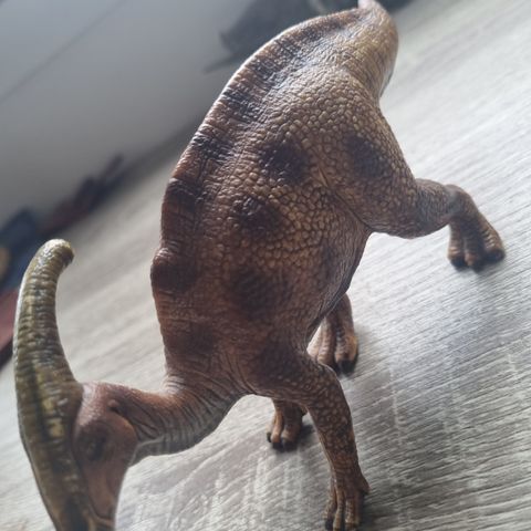 Dinosaur leke