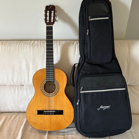 Gitar med gitarbag i godt stand