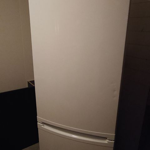 Fridge/kjøleskap