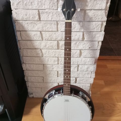 Rayhorn Banjo 4 strenger