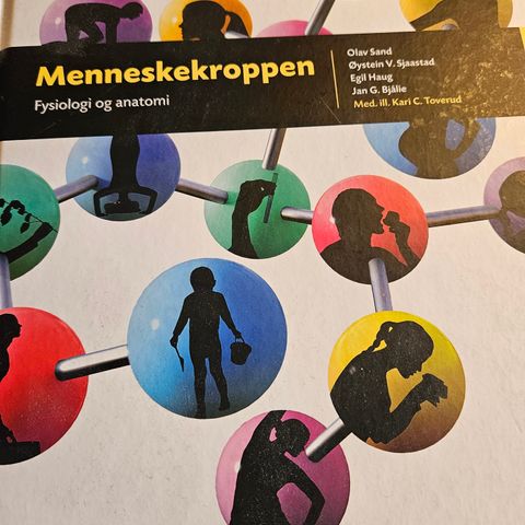 Menneskekroppen