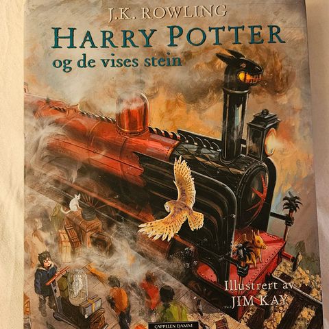 Harry Potter og de vises stein, illustrert