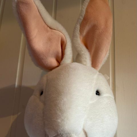 Dyrehode kanin for vegg