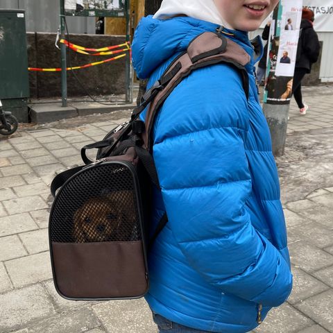 dog carrier - hundebærer - Hunderyggsekk sammenleggbar bag