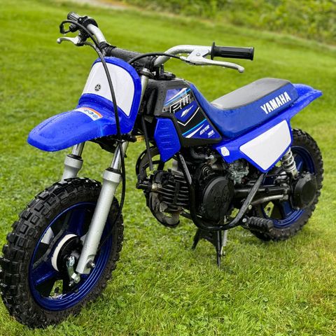 Pw50