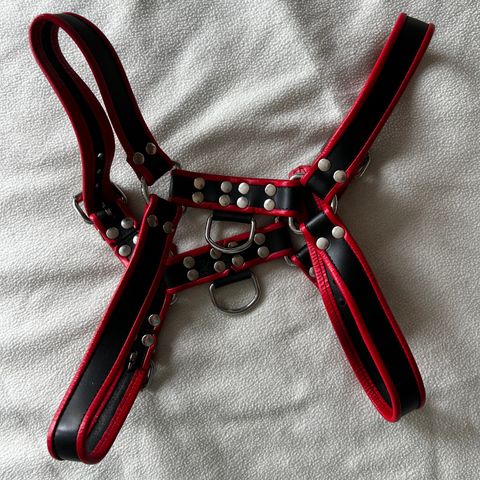 Mister B / Mr.B Harness