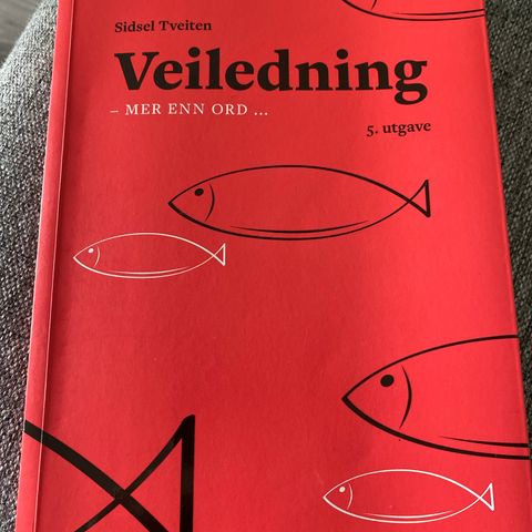 Veiledning - mer enn ord