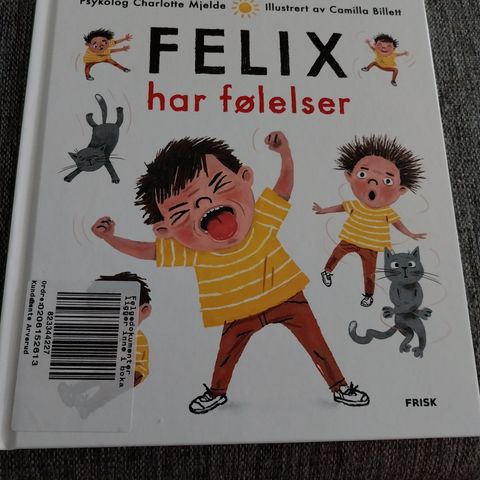 Bok for barn om følelser