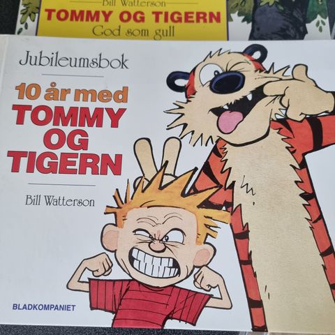 Tommy og Tigern, bok 6 og 7