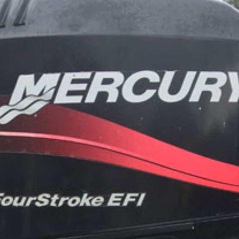 Mercury 50hk EFI