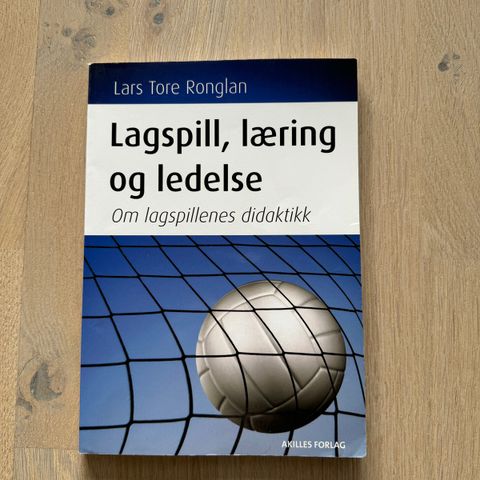 Lagspill, læring og ledelse om lagspillenes didaktikk (2008)