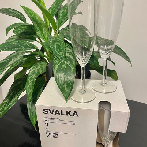 SVALKA Champagneglass fra IKEA