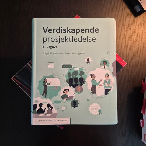 Verdiskapende Prosjektledelse