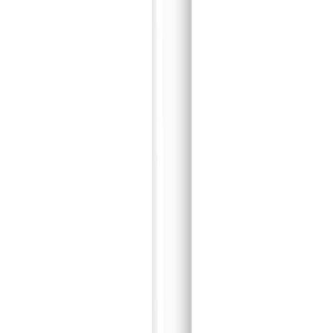 Apple Pencil 1.gen