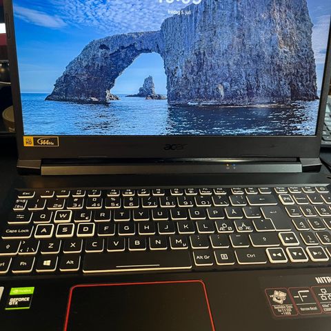 Acer Nitro 5 - AN515-55 Selges