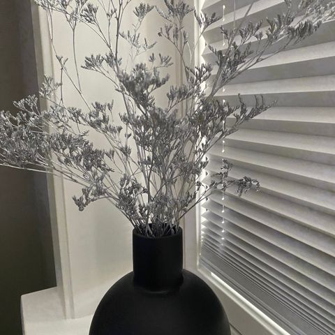 Vase med falske Sølve plante.......
