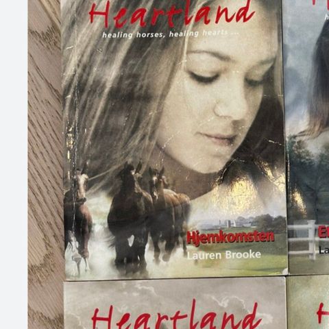 Heartland bok - hjemkomsten. (Penny klubben)