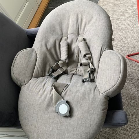 Stokke tripp trapp newborn seat