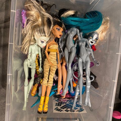 Ulik MonsterHigh dukker og tilbehør