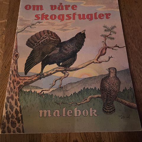 Om våre skogsfugler. Malebok