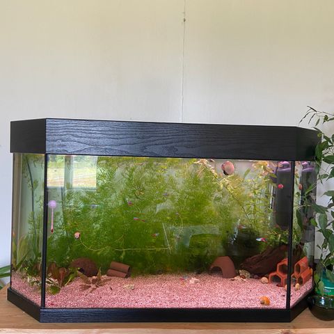 200 L akvarium