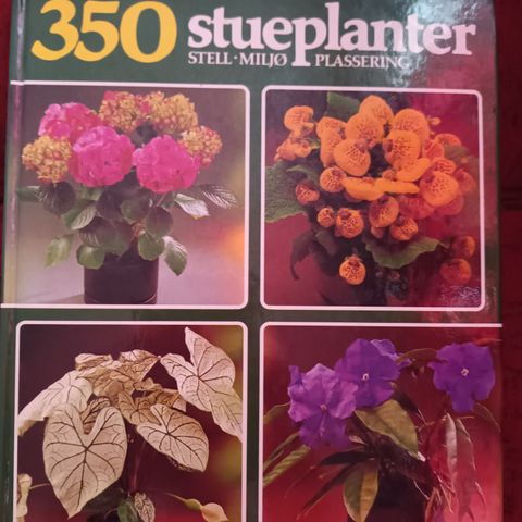 350 stueplanter