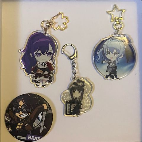 Diverse keychains + pin