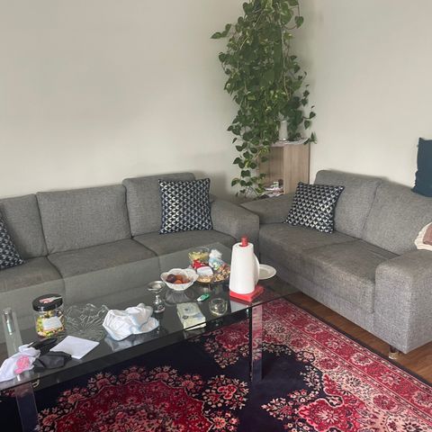 Grå sofa set + stol