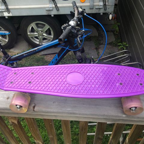 Pennyboard