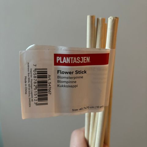 Blomst pinner / Flower sticks