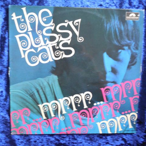 THE PUSSYCATS - MRRR MRRR - ORIGINALEN FRA 1966 FLOTT STAND - JOHNNYROCK